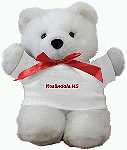 Logo Teddy Bear